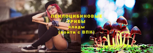 прущие крисы Пересвет