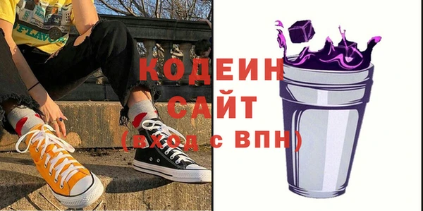 индика Дмитров