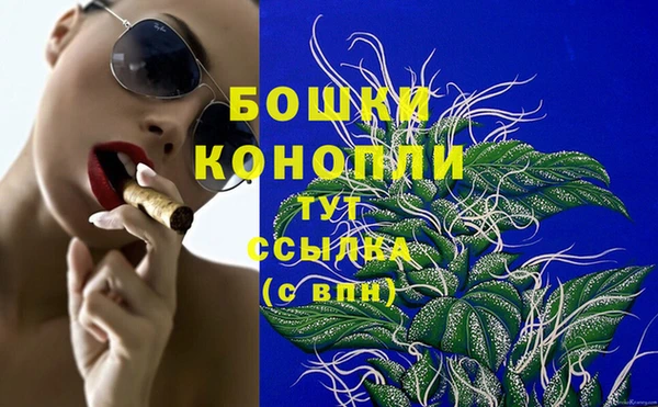 прущие крисы Пересвет
