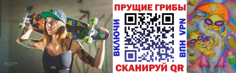 Псилоцибиновые грибы GOLDEN TEACHER Алзамай